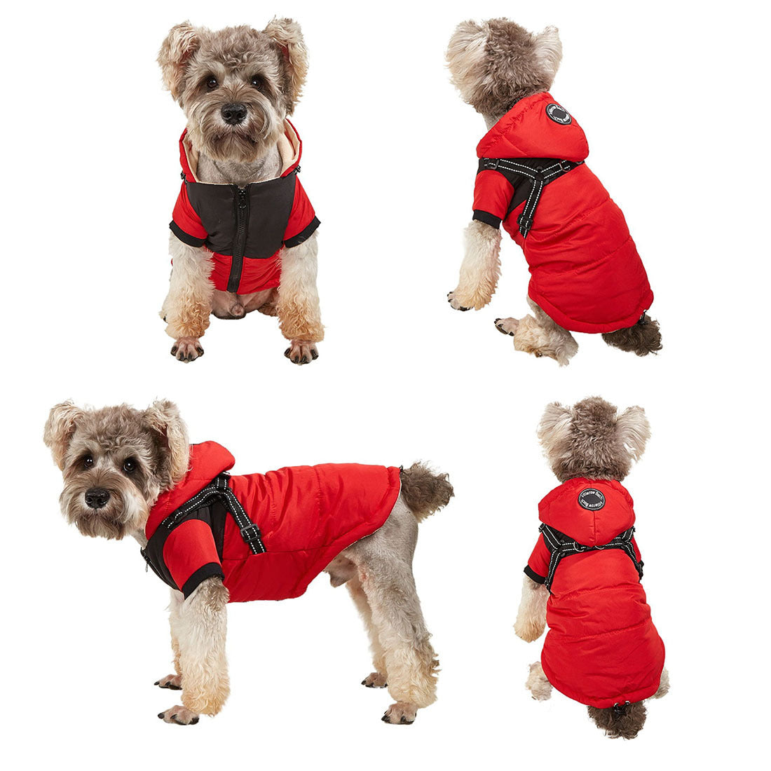Waterproof and Insulated Dog Jacket for Pets